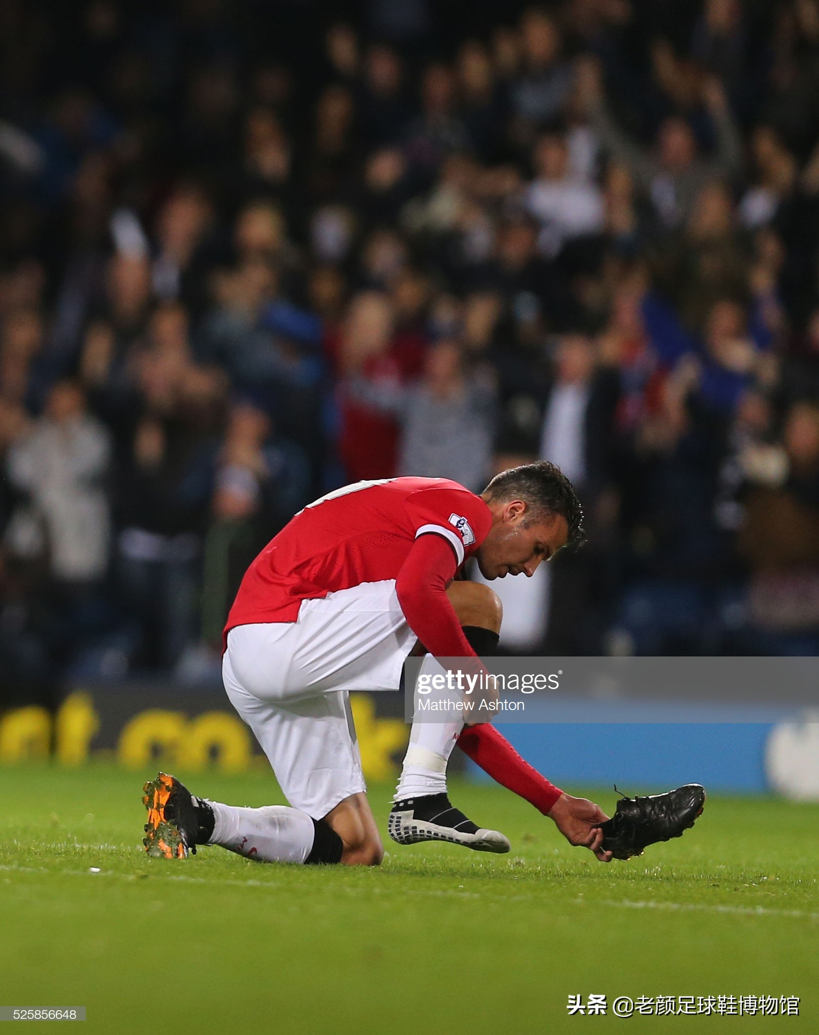 山东魏桥 山东魏桥